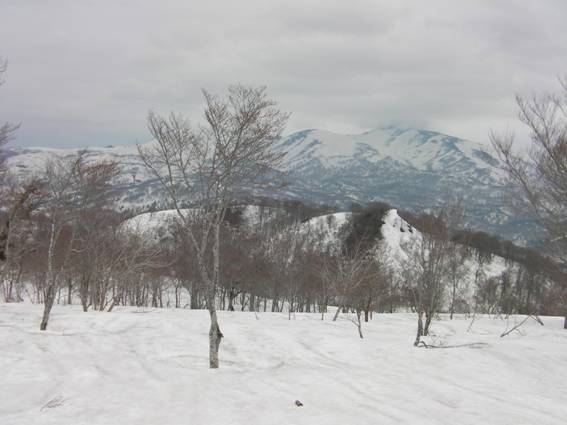 C:\Users\mizukami\Pictures\201 �R\2011�R\11.5.1~2�Ό����x\SANY3192.JPG