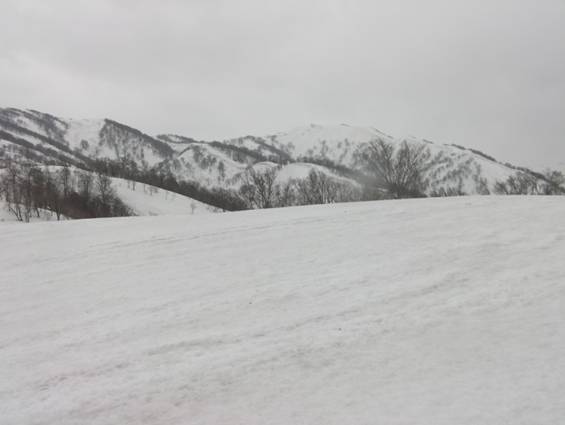 C:\Users\mizukami\Pictures\201 �R\2011�R\11.5.1~2�Ό����x\SANY3195.JPG