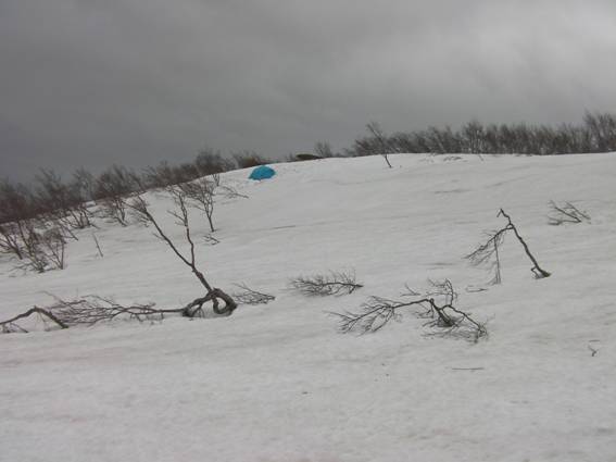 C:\Users\mizukami\Pictures\201 �R\2011�R\11.5.1~2�Ό����x\SANY3210.JPG