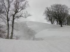 C:\Users\mizukami\Pictures\201 �R\2011�R\11.5.1~2�Ό����x\SANY3207.JPG