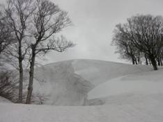 C:\Users\mizukami\Pictures\201 �R\2011�R\11.5.1~2�Ό����x\SANY3208.JPG