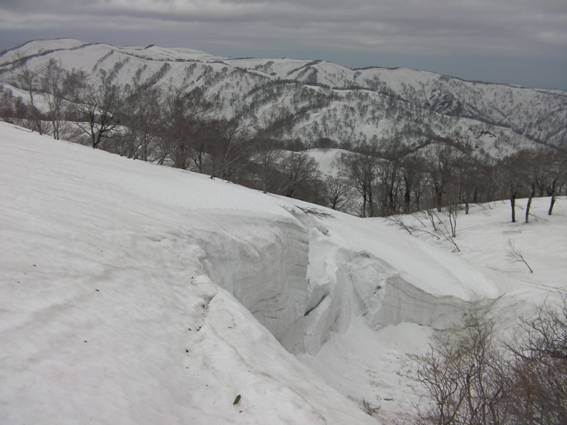 C:\Users\mizukami\Pictures\201 �R\2011�R\11.5.1~2�Ό����x\SANY3209.JPG