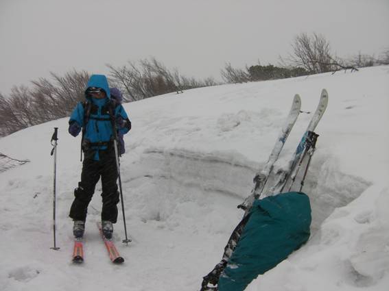 C:\Users\mizukami\Pictures\201 �R\2011�R\11.5.1~2�Ό����x\SANY3215.JPG