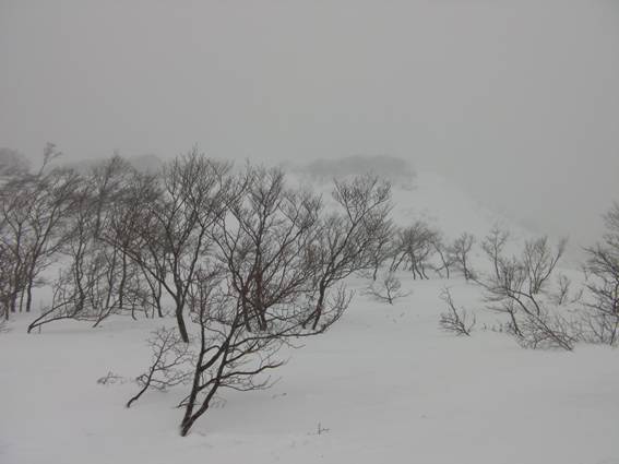 C:\Users\mizukami\Pictures\201 �R\2011�R\11.5.1~2�Ό����x\SANY3214.JPG