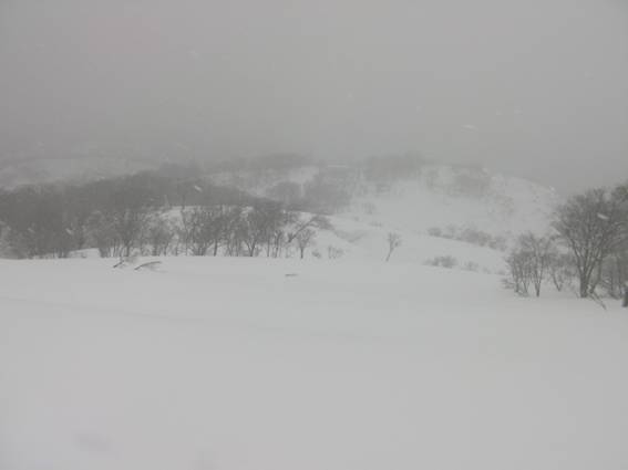 C:\Users\mizukami\Pictures\201 �R\2011�R\11.5.1~2�Ό����x\SANY3216.JPG