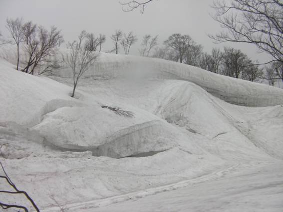 C:\Users\mizukami\Pictures\201 �R\2011�R\11.5.1~2�Ό����x\SANY3219.JPG