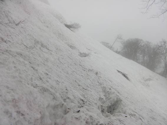 C:\Users\mizukami\Pictures\201 �R\2011�R\11.5.1~2�Ό����x\SANY3223.JPG