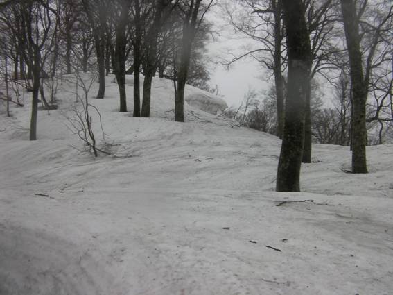 C:\Users\mizukami\Pictures\201 �R\2011�R\11.5.1~2�Ό����x\SANY3226.JPG