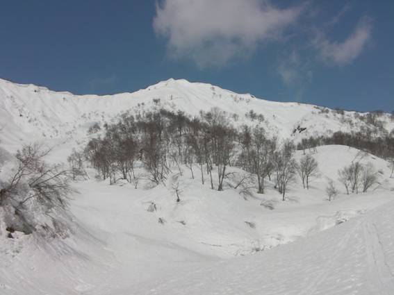 C:\Users\mizukami\Pictures\201 �R\2011�R\11.4.10��单�P\SANY3100.JPG