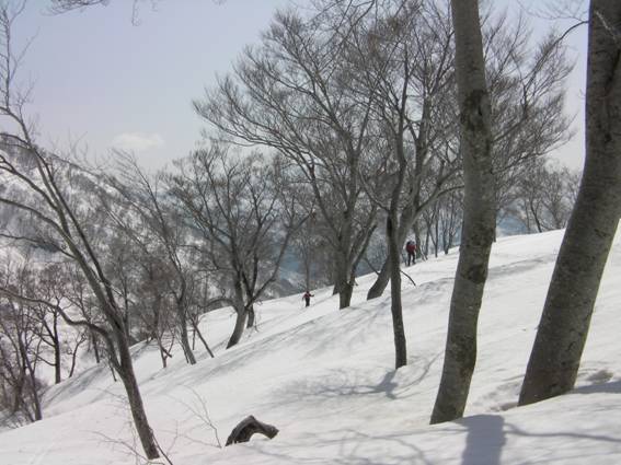 C:\Users\mizukami\Pictures\201 �R\2011�R\11.4.10��单�P\SANY3102.JPG