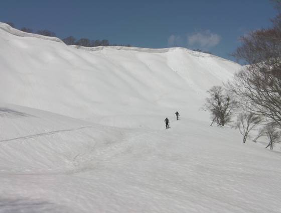 C:\Users\mizukami\Pictures\201 �R\2011�R\11.4.10��单�P\SANY3103.JPG