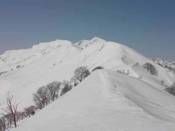 C:\Users\mizukami\Pictures\201 �R\2011�R\11.4.10��单�P\SANY3106.JPG