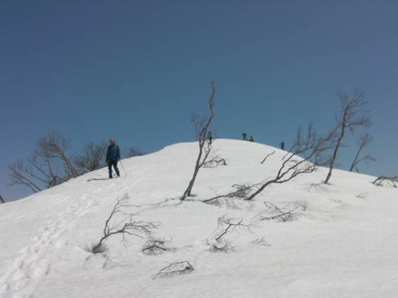 C:\Users\mizukami\Pictures\201 �R\2011�R\11.4.10��单�P\SANY3117.JPG