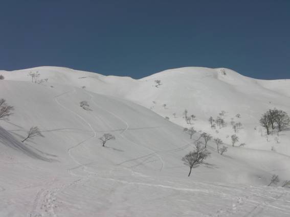 C:\Users\mizukami\Pictures\201 �R\2011�R\11.4.10��单�P\SANY3122.JPG