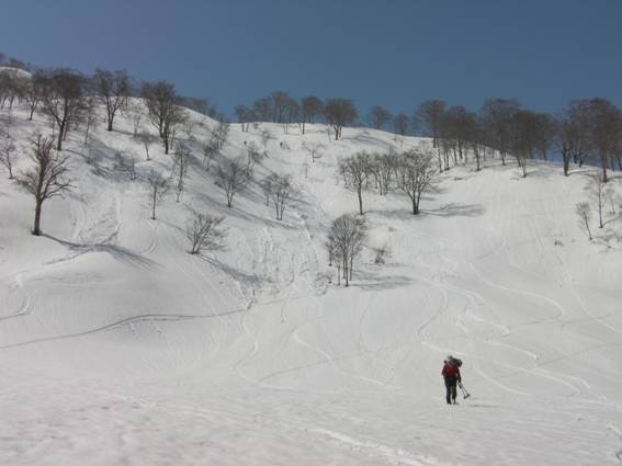 C:\Users\mizukami\Pictures\201 �R\2011�R\11.4.10��单�P\SANY3130.JPG