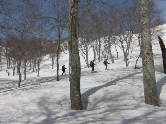 C:\Users\mizukami\Pictures\201 �R\2011�R\11.4.10��单�P\SANY3136.JPG