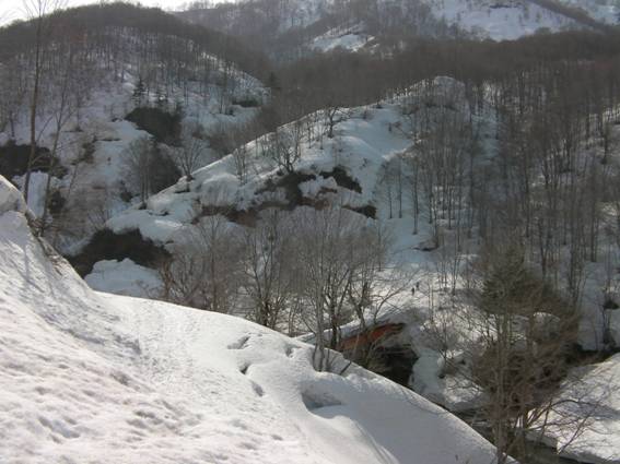 C:\Users\mizukami\Pictures\201 �R\2011�R\11.4.10��单�P\SANY3140.JPG