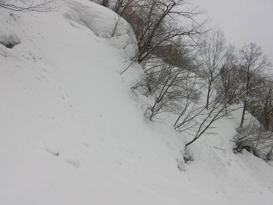 C:\Users\mizukami\Desktop\�Rrepo_temp\SANY3715 - �R�s�[.JPG