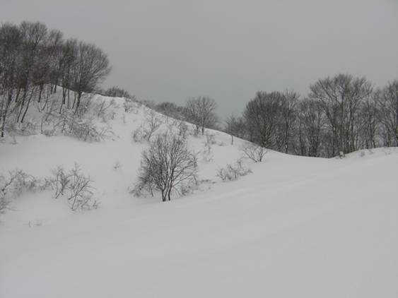 C:\Users\����\Desktop\Picture temp\SANY4316.JPG