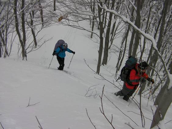 C:\Users\����\Desktop\Picture temp\SANY4319.JPG