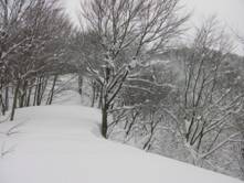 C:\Users\����\Desktop\Picture temp\SANY4320.JPG