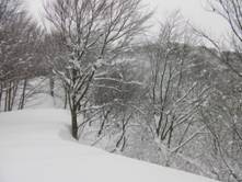 C:\Users\����\Desktop\Picture temp\SANY4321.JPG