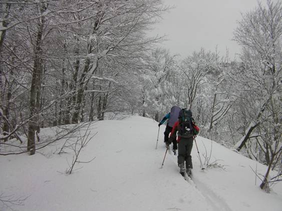 C:\Users\����\Desktop\Picture temp\SANY4323.JPG