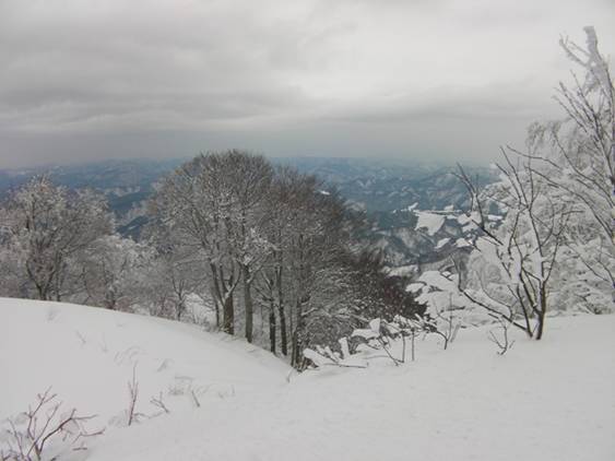 C:\Users\����\Desktop\Picture temp\SANY4330.JPG