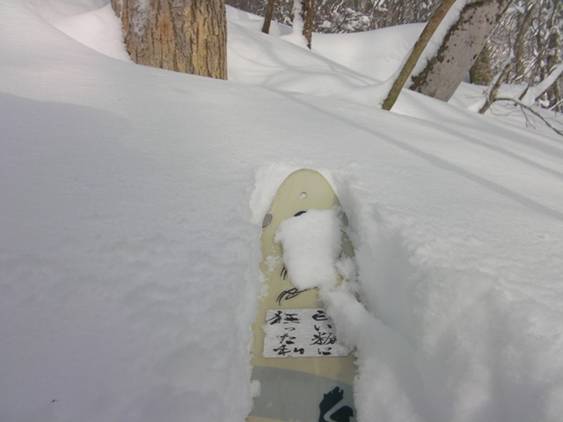 C:\Users\����\Desktop\Picture temp\SANY4270.JPG