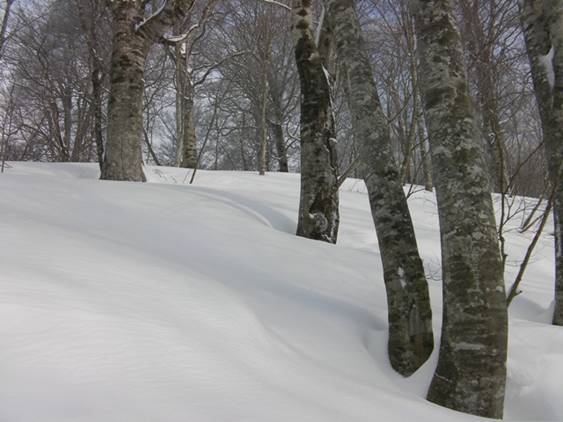 C:\Users\����\Desktop\Picture temp\SANY4273.JPG