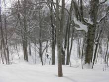 C:\Users\����\Desktop\Picture temp\SANY4275.JPG