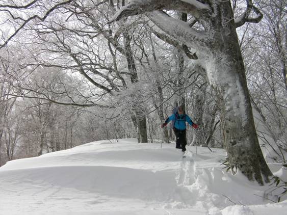 C:\Users\����\Desktop\Picture temp\SANY4279.JPG