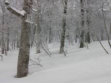 C:\Users\����\Desktop\Picture temp\SANY4280.JPG