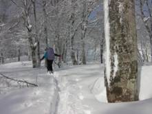 C:\Users\����\Desktop\Picture temp\SANY4282.JPG