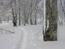 C:\Users\����\Desktop\Picture temp\SANY4283.JPG