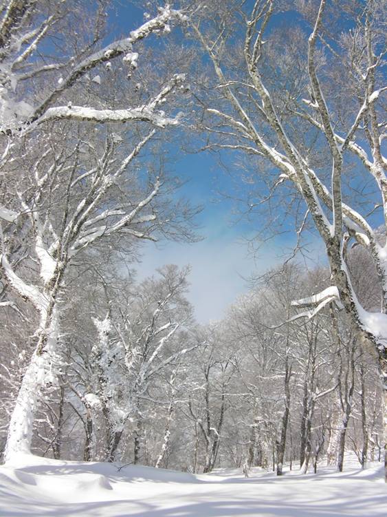 C:\Users\����\Desktop\Picture temp\SANY4287.JPG