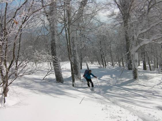 C:\Users\����\Desktop\Picture temp\SANY4290.JPG