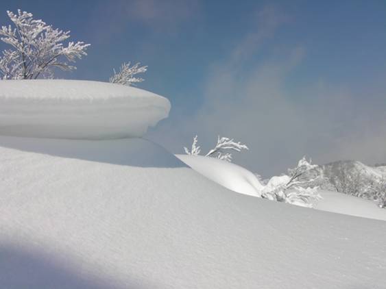 C:\Users\����\Desktop\Picture temp\SANY4295.JPG