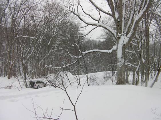 C:\Users\����\Desktop\Picture temp\SANY4305.JPG