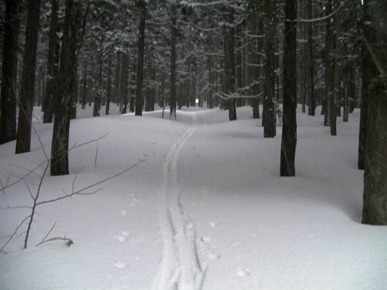 C:\Users\����\Desktop\Picture temp\SANY0001.JPG