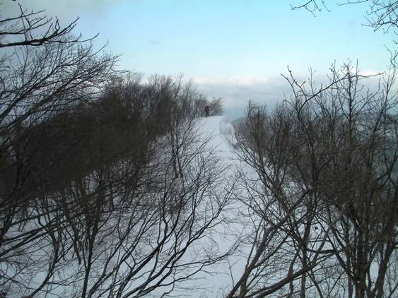 C:\Users\����\Desktop\Picture temp\SANY0003.JPG