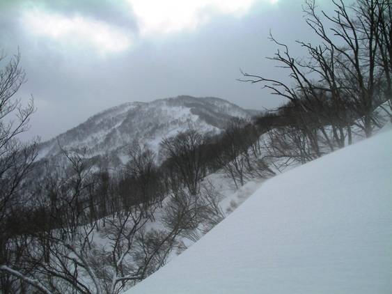 C:\Users\����\Desktop\Picture temp\SANY0004.JPG