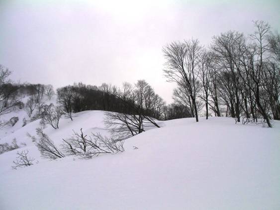 C:\Users\����\Desktop\Picture temp\SANY0007.JPG