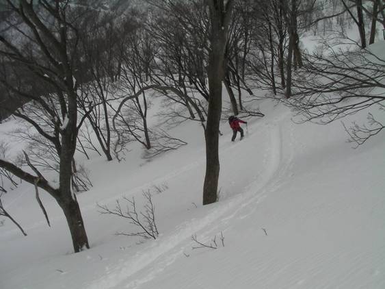 C:\Users\����\Desktop\Picture temp\SANY0010.JPG