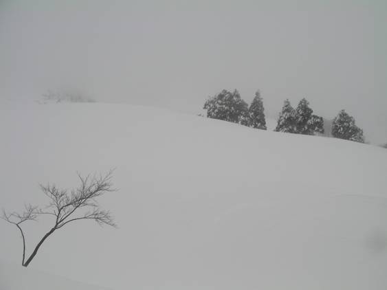 C:\Users\����\Desktop\Picture temp\SANY0012.JPG