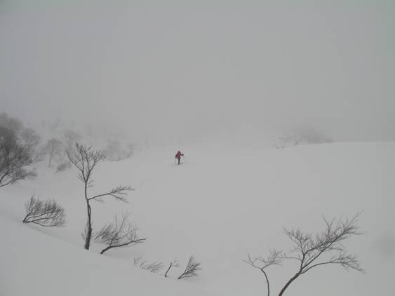 C:\Users\����\Desktop\Picture temp\SANY0014.JPG