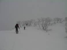 C:\Users\����\Desktop\Picture temp\SANY0016.JPG