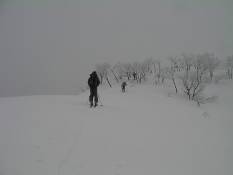 C:\Users\����\Desktop\Picture temp\SANY0017.JPG