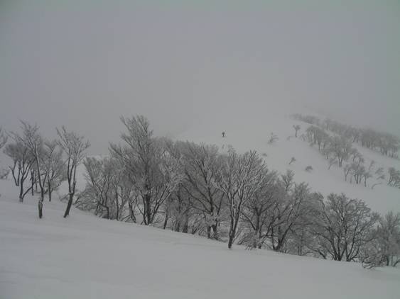 C:\Users\����\Desktop\Picture temp\SANY0020.JPG