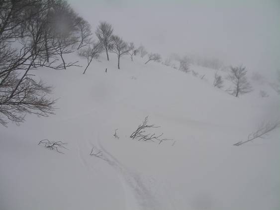 C:\Users\����\Desktop\Picture temp\SANY0029.JPG